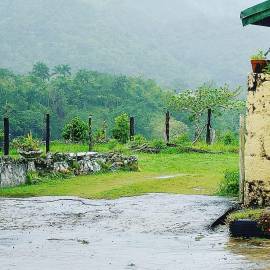 House for Sale St. Ann, Moneague