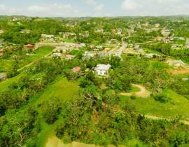 House for Sale Manchester, Mandeville