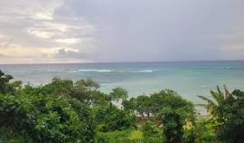 Apartment for Rent St. James, Rose Hall