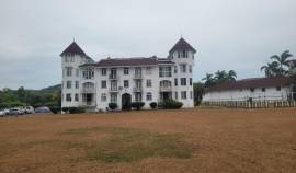 Apartment for Rent St. James, Rose Hall