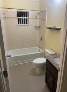 House for Rent Trelawny, Falmouth