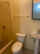 House for Rent Trelawny, Falmouth