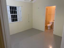 House for Rent Trelawny, Falmouth