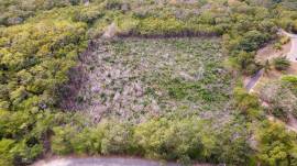 Residential Lot for Sale St. James, Half Moon