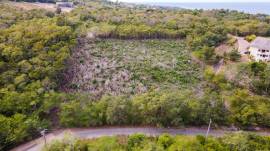 Residential Lot for Sale St. James, Half Moon