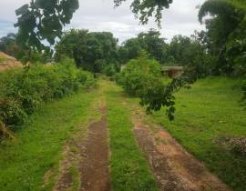 Development Land (Residential) for Sale Kingston &