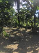 House for Sale St. Ann, Ocho Rios