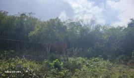 Development Land (Residential) for Sale St. Cather