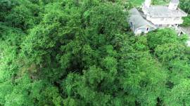 House for Sale Kingston & St. Andrew, Kingston 9