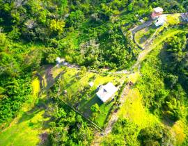 House for Sale Hanover, Green Island