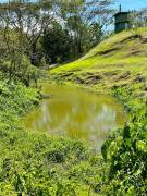 House for Sale Hanover, Green Island