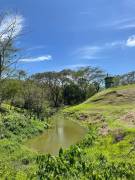 House for Sale Hanover, Green Island