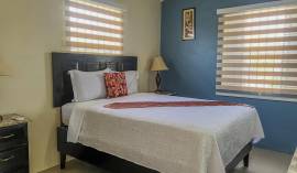 House for Sale Trelawny, Falmouth