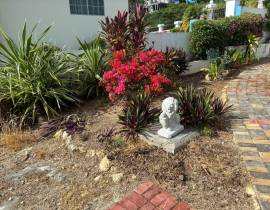 House for Rent Westmoreland, WHITEHOUSE