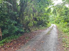 Residential Lot for Sale Portland, Port Antonio