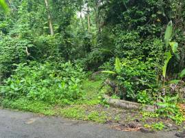 Residential Lot for Sale Portland, Port Antonio