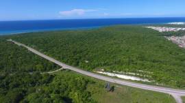 Development Land (Commercial) for Sale Trelawny, F