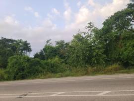 Development Land (Commercial) for Sale Trelawny, F