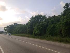 Development Land (Commercial) for Sale Trelawny, F