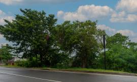 Residential Lot for Sale St. Mary, Boscobel