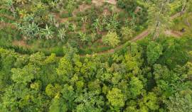 Development Land (Residential) for Sale Portland, 