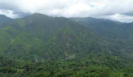 Development Land (Residential) for Sale Portland, 