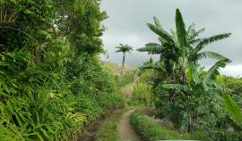 Development Land (Residential) for Sale Portland, 