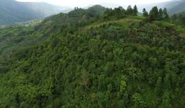 Development Land (Residential) for Sale Portland, 