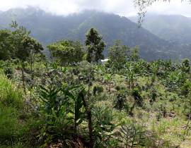 Development Land (Residential) for Sale Portland, 