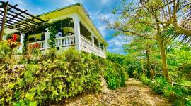 House for Sale St. James, Hopeton