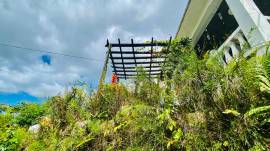 House for Sale St. James, Hopeton