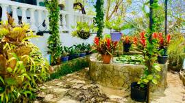 House for Sale St. James, Hopeton