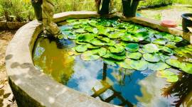 House for Sale St. James, Hopeton