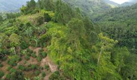 Development Land (Residential) for Sale Portland, 