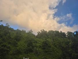 Development Land (Residential) for Sale Portland, 