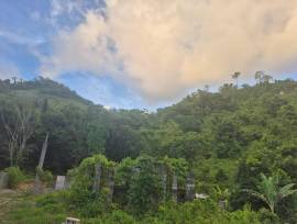 Development Land (Residential) for Sale Portland, 