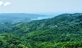 Development Land (Residential) for Sale St. Mary, 