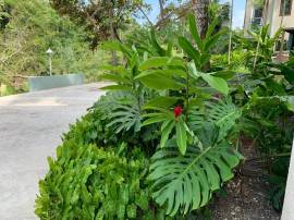 Resort Apartment/Villa for Sale St. Mary, Oracabes