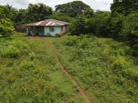 Development Land (Residential) for Sale Clarendon,