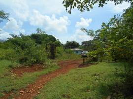 Development Land (Residential) for Sale Clarendon,