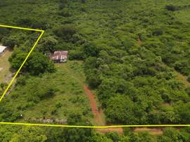 Development Land (Residential) for Sale Clarendon,