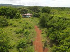 Development Land (Residential) for Sale Clarendon,