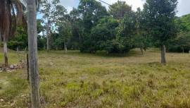 Development Land (Residential) for Sale St. Ann, A
