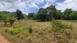 Development Land (Residential) for Sale St. Ann, A