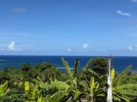 House for Sale St. Mary, Port Maria