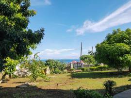 House for Sale Trelawny, Falmouth