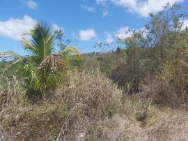 Residential Lot for Private Treaty Hanover, Succes