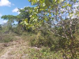 Residential Lot for Private Treaty Hanover, Succes