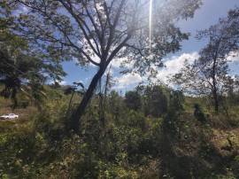 Residential Lot for Private Treaty Hanover, Succes