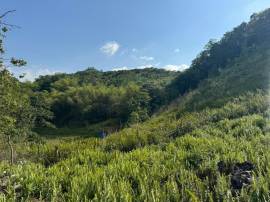 Residential Lot for Private Treaty Hanover, Succes